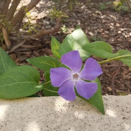 Avec Coin Nuit Proche *