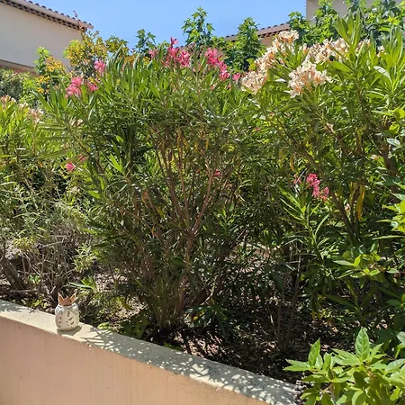 Apartamento Avec Coin Nuit Proche *