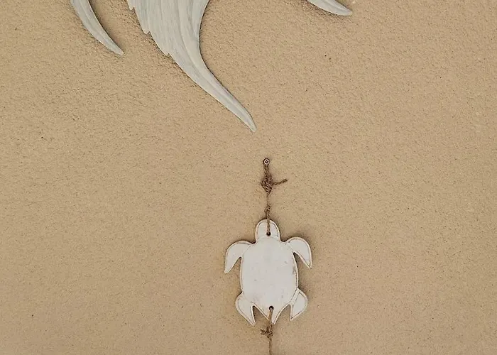 Avec Coin Nuit Proche Daire Les Lecques